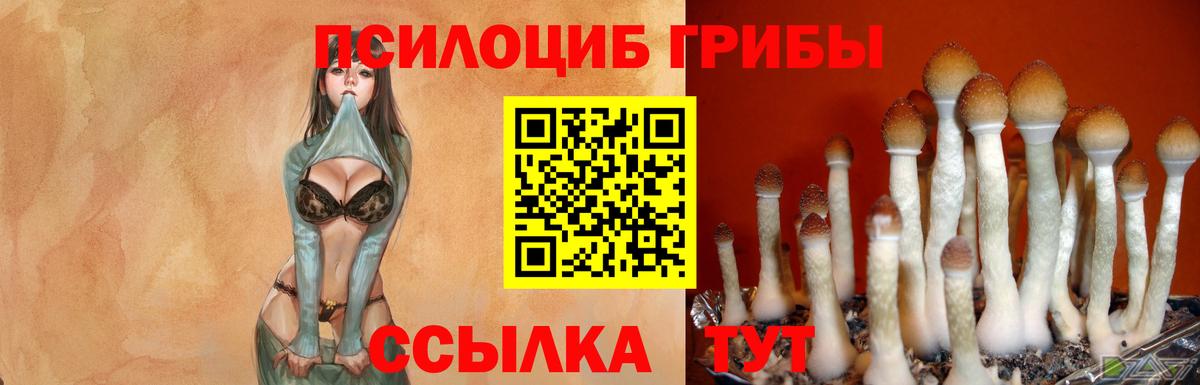 Псилоцибиновые грибы ЛСД  Вход с VPN  Изобильный 